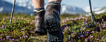 Familie Kottulinsky Ferienwohnungen in Bodenmais. Wandern und mehr ...