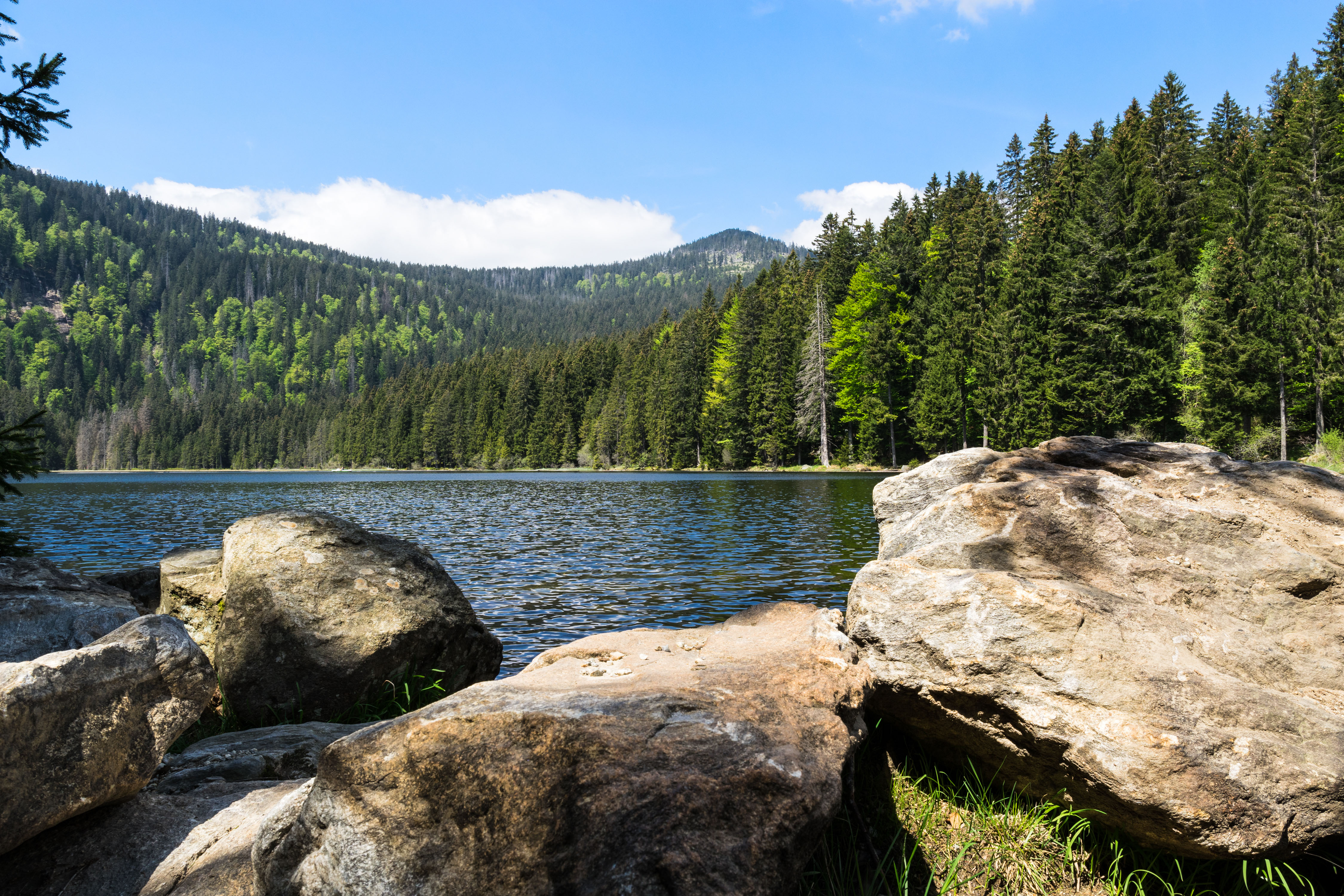 Am Waldrand, ruhig sind unsere Ferienwohnungen in Bodemais